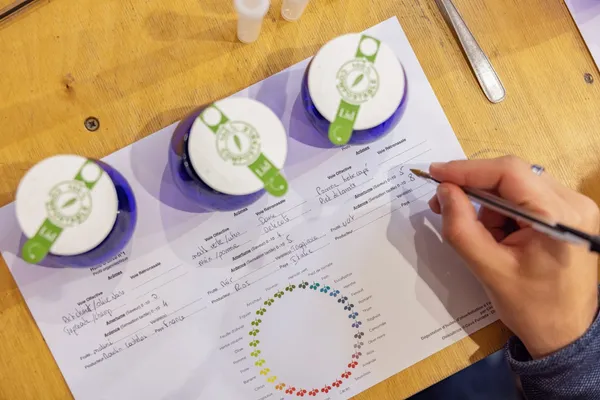 Surprenez votre équipe en réalisant votre propre huile d’olive et profitez d'un délicieux dîner en groupe - Image n°1 - Wecandoo