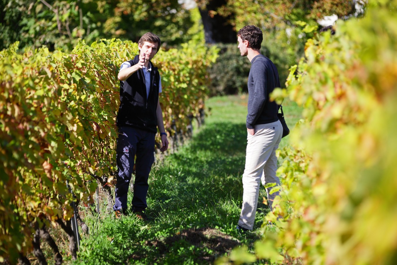 Wecandoo - Découvrez un domaine viticole alpin : visitez les vignes et la cave et dégustez des vins et des produits de terroir - Image n°10