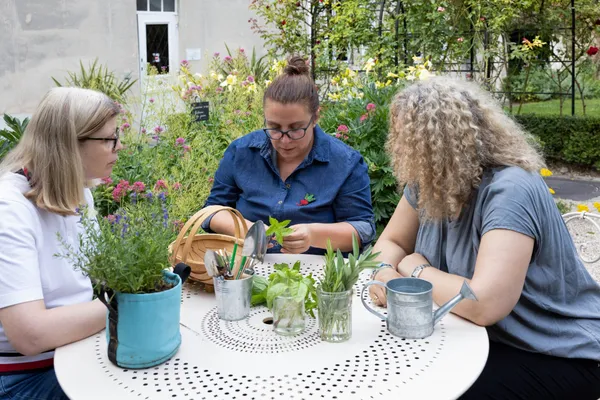 Réalisez vos boutures d'aromatiques - Image n°3 - Wecandoo