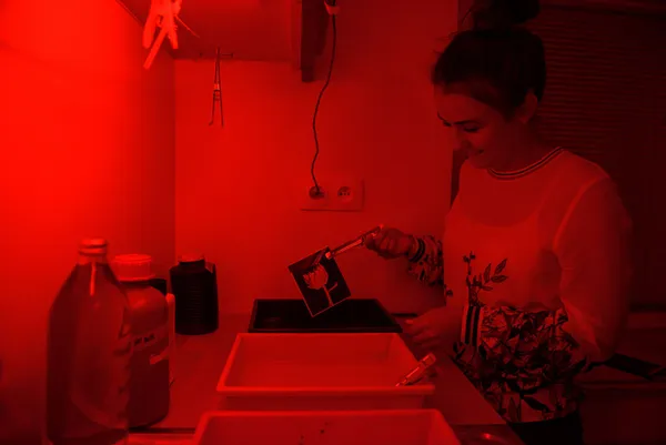 Initiez-vous au procédé négatif papier après avoir réalisé vos propres photos - Image n°4 - Wecandoo