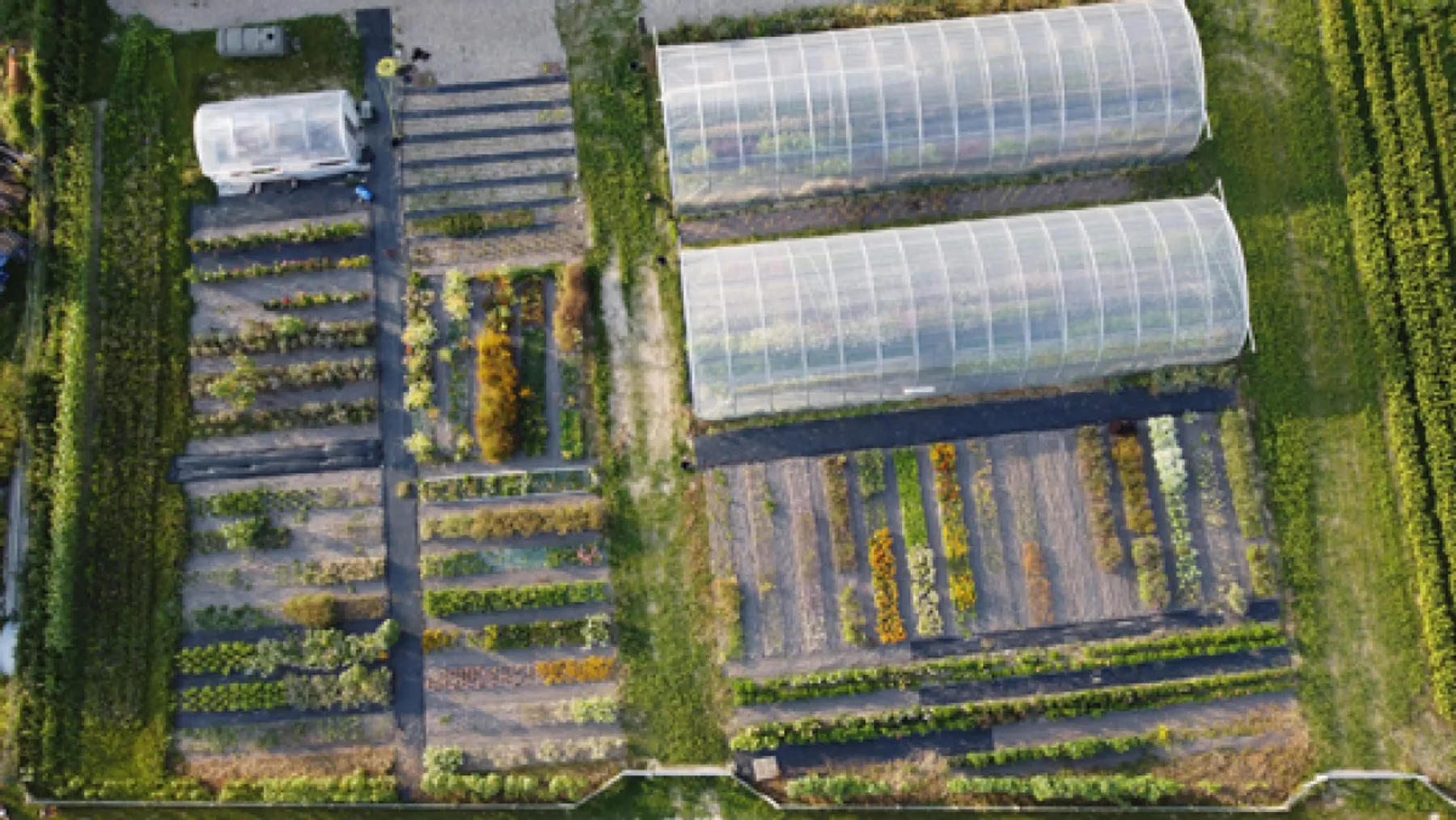 Composez votre bouquet champêtre à la ferme - Afbeelding nr. 1 - Wecandoo