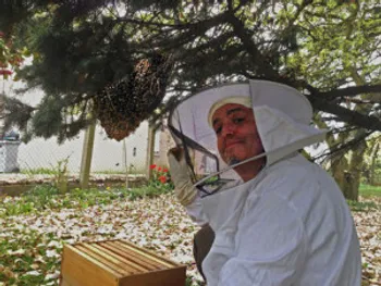 L'équipe : Apiculture à Montreuil