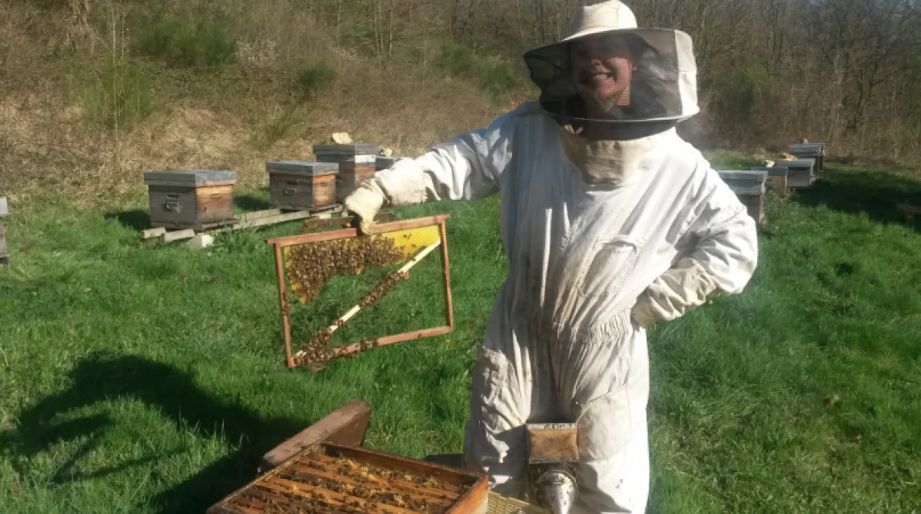 Découvrez l'apiculture - Afbeelding nr. 1 - Wecandoo