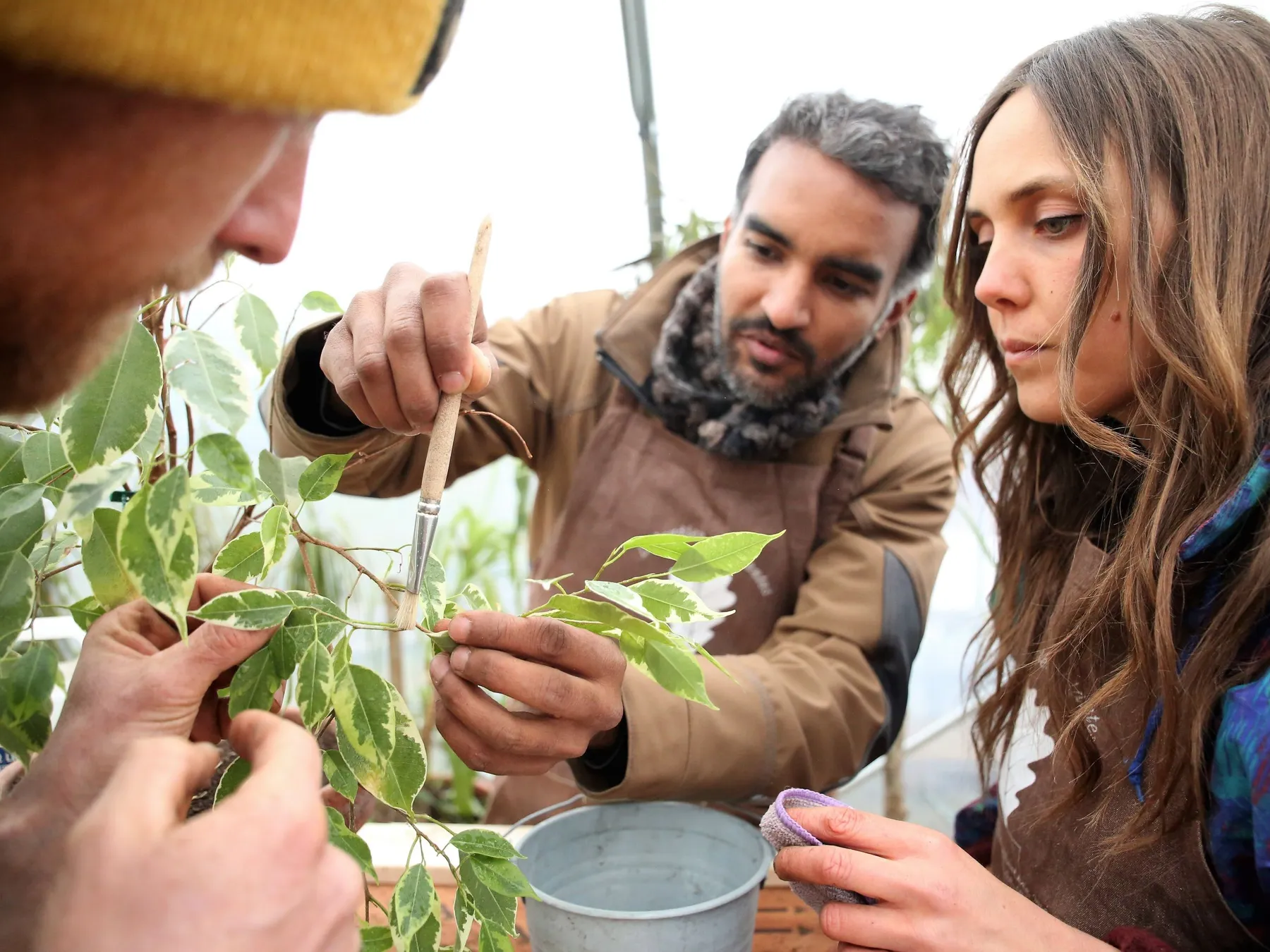 Créez un remède biologique pour soigner votre plante - Image n°3 - Wecandoo