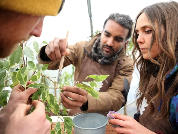 Créez un remède biologique pour soigner votre plante - Image n°3 - Wecandoo