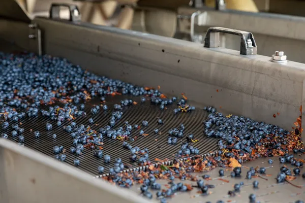 Visitez un domaine classé et goûtez des Grands Crus - Image n°2 - Wecandoo