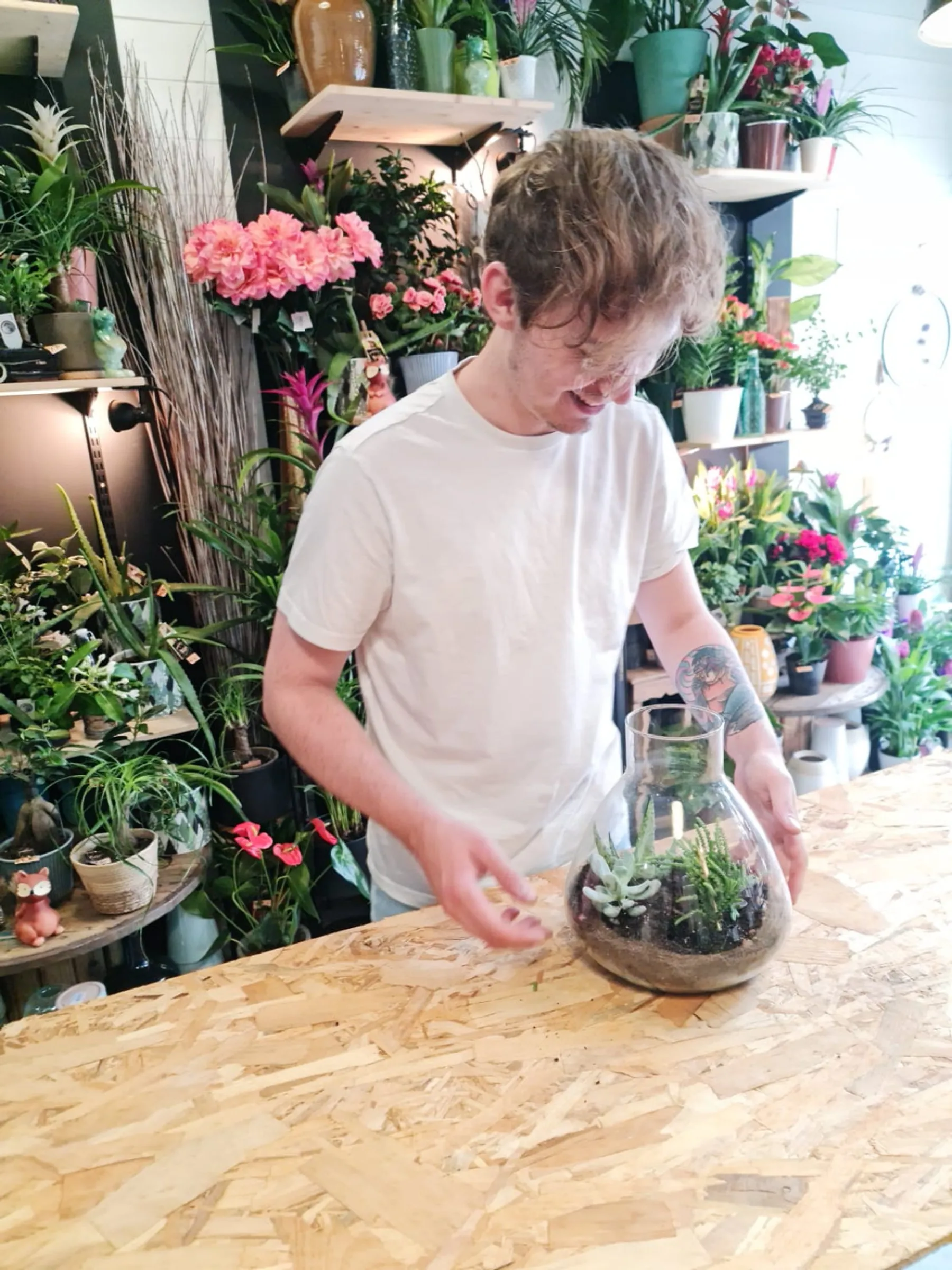 Créez votre terrarium - Image n°2 - Wecandoo