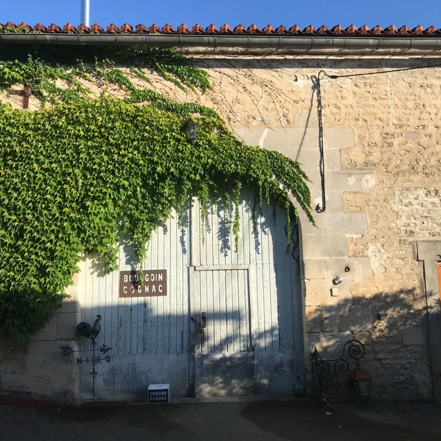 Visitez un vignoble et dégustez des cognacs - Image n°1 - Wecandoo