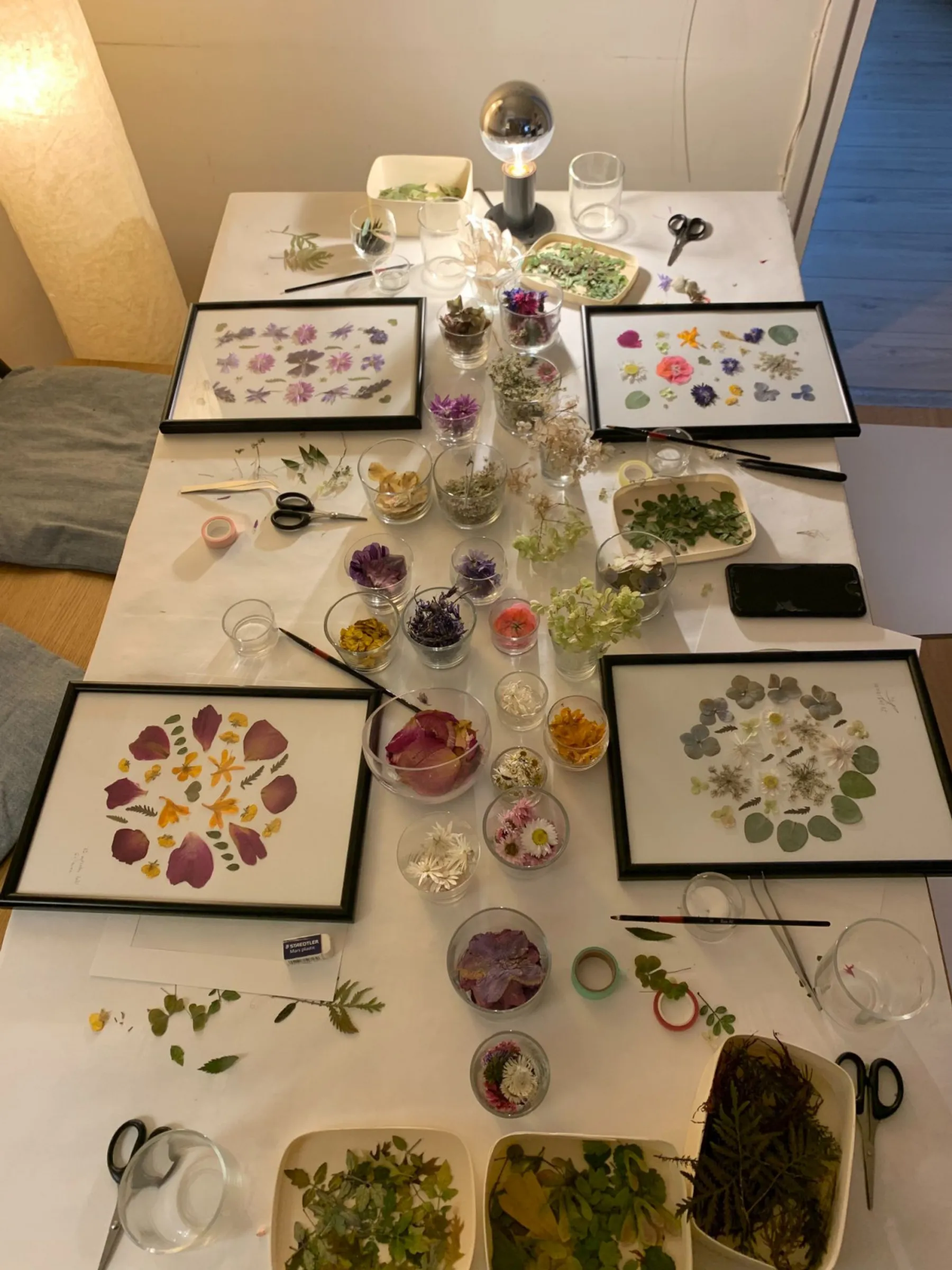 Créez votre herbier en fleurs séchées avec Nathalie - Image n°4 - Wecandoo