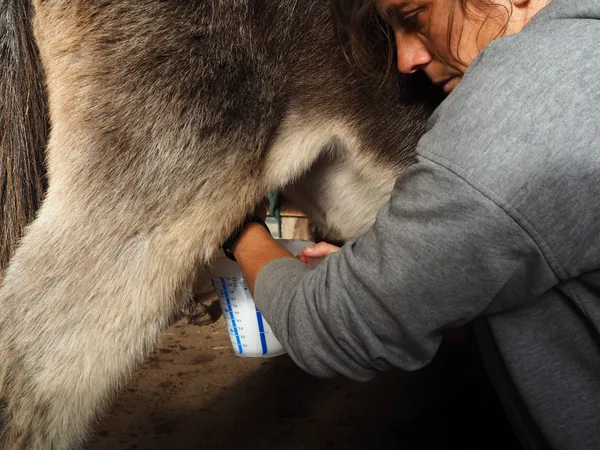 Créez votre soin visage au lait d'ânesse - Image n°3 - Wecandoo