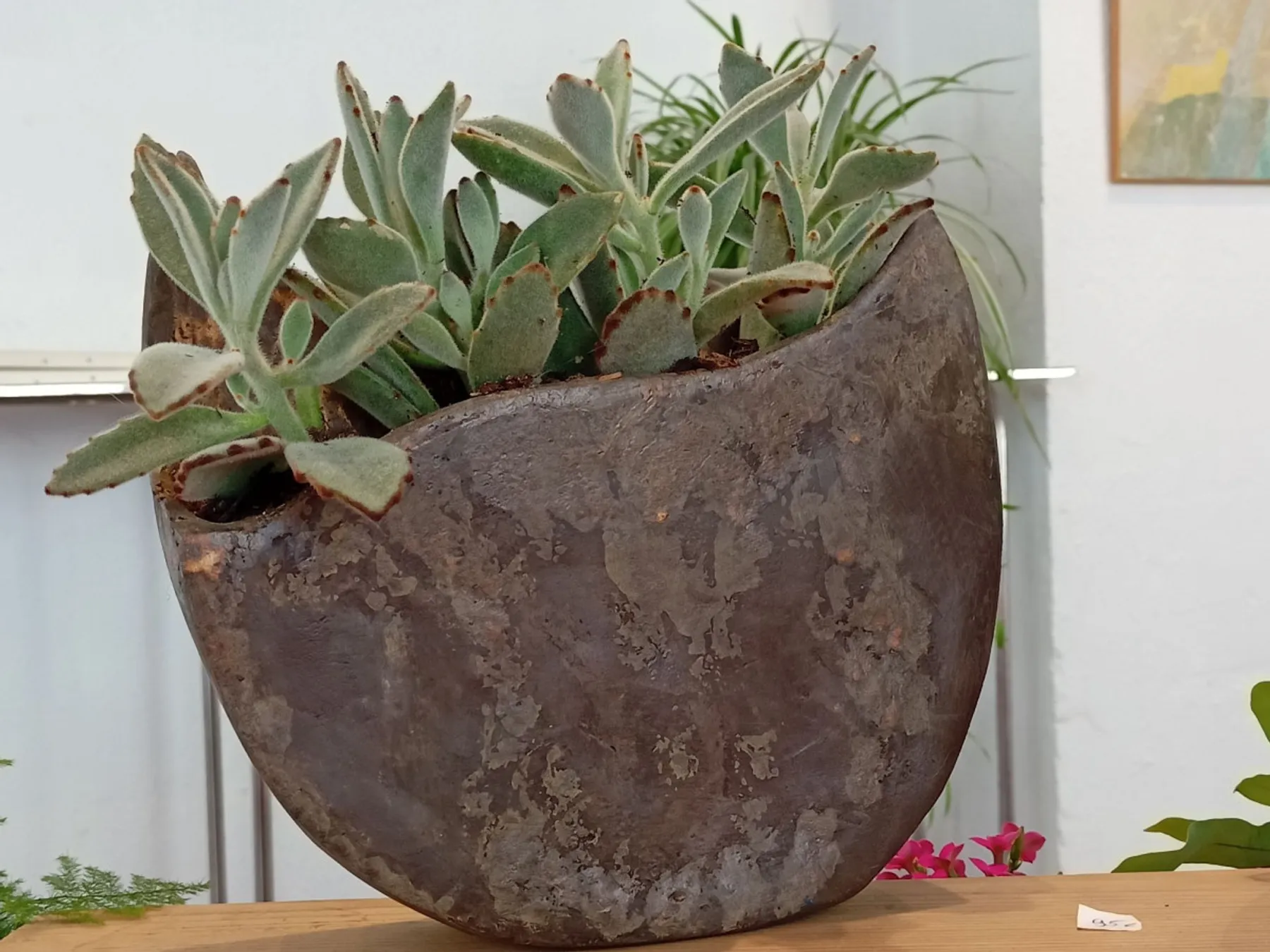 Façonnez votre jardinière d'intérieur en terre mêlée avec Véronique - Image n°4 - Wecandoo