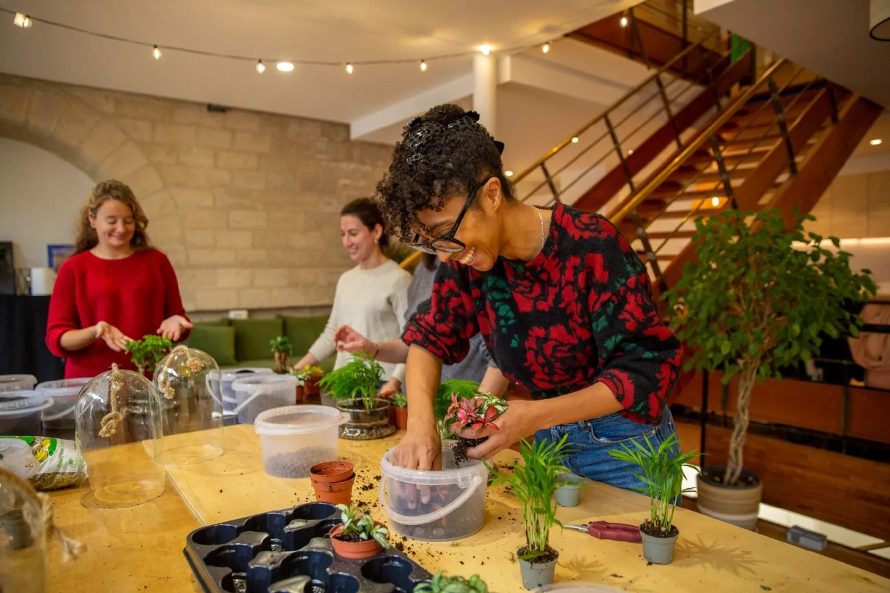 Créez votre terrarium sous cloche - Image n°1 - Wecandoo