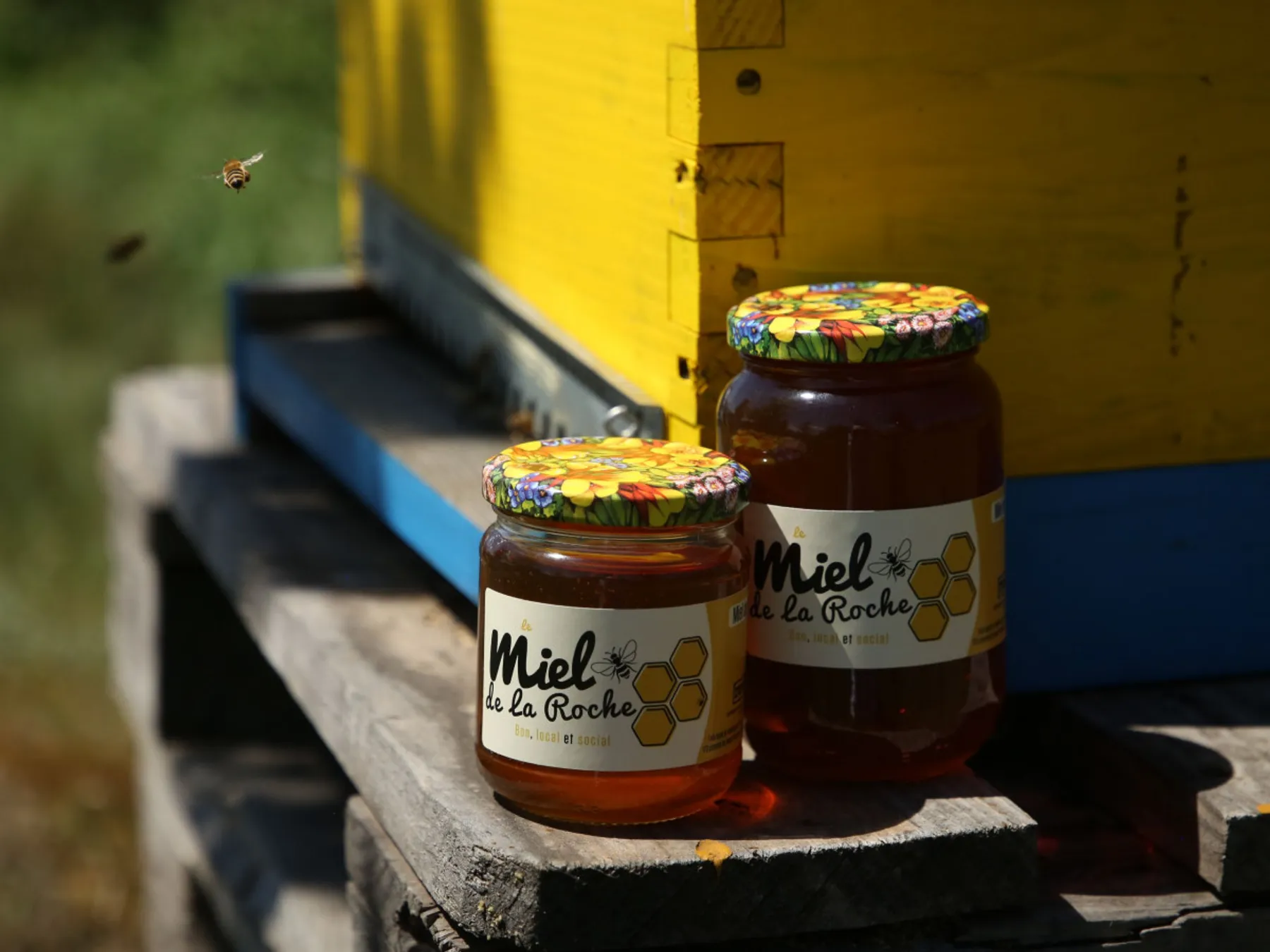 Initiez-vous à l'apiculture - Image n°4 - Wecandoo