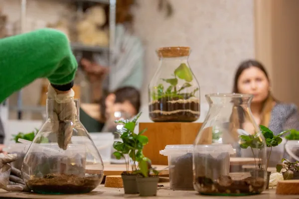 Composez votre terrarium - Image n°2 - Wecandoo