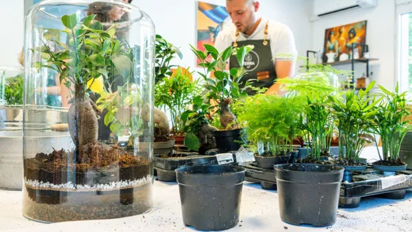 Créez votre terrarium taille L - Image n°2 - Wecandoo