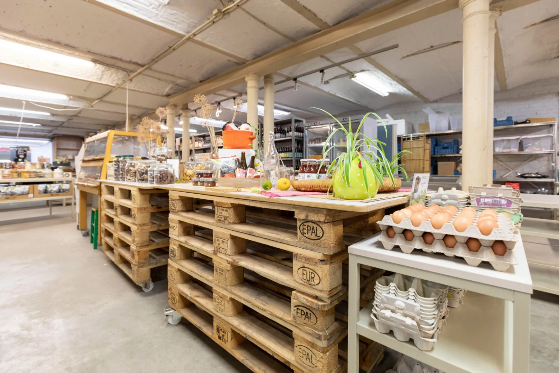 Découvrez la botanique lors d'une balade en ville - Image n°2 - Wecandoo