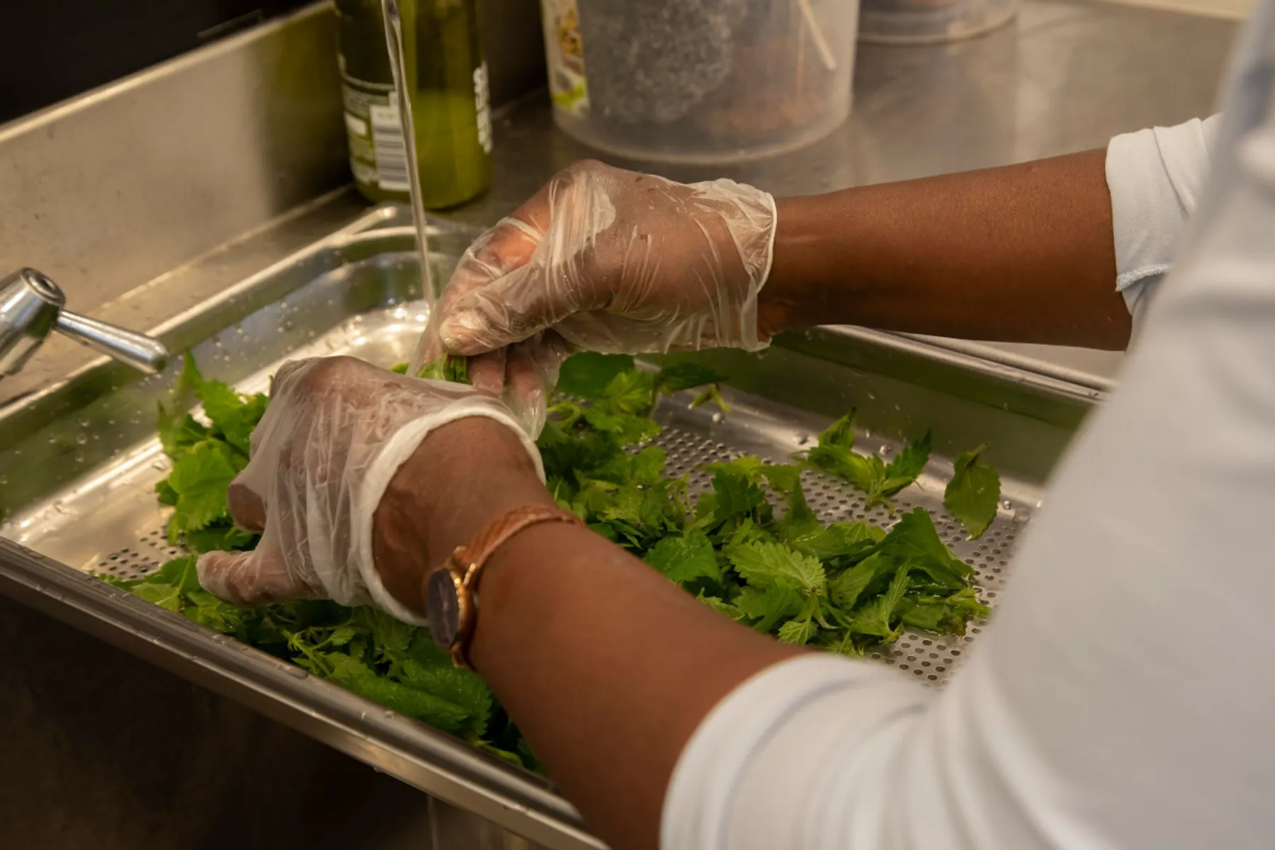 Cueillez et cuisinez des plantes sauvages - Image n°2 - Wecandoo