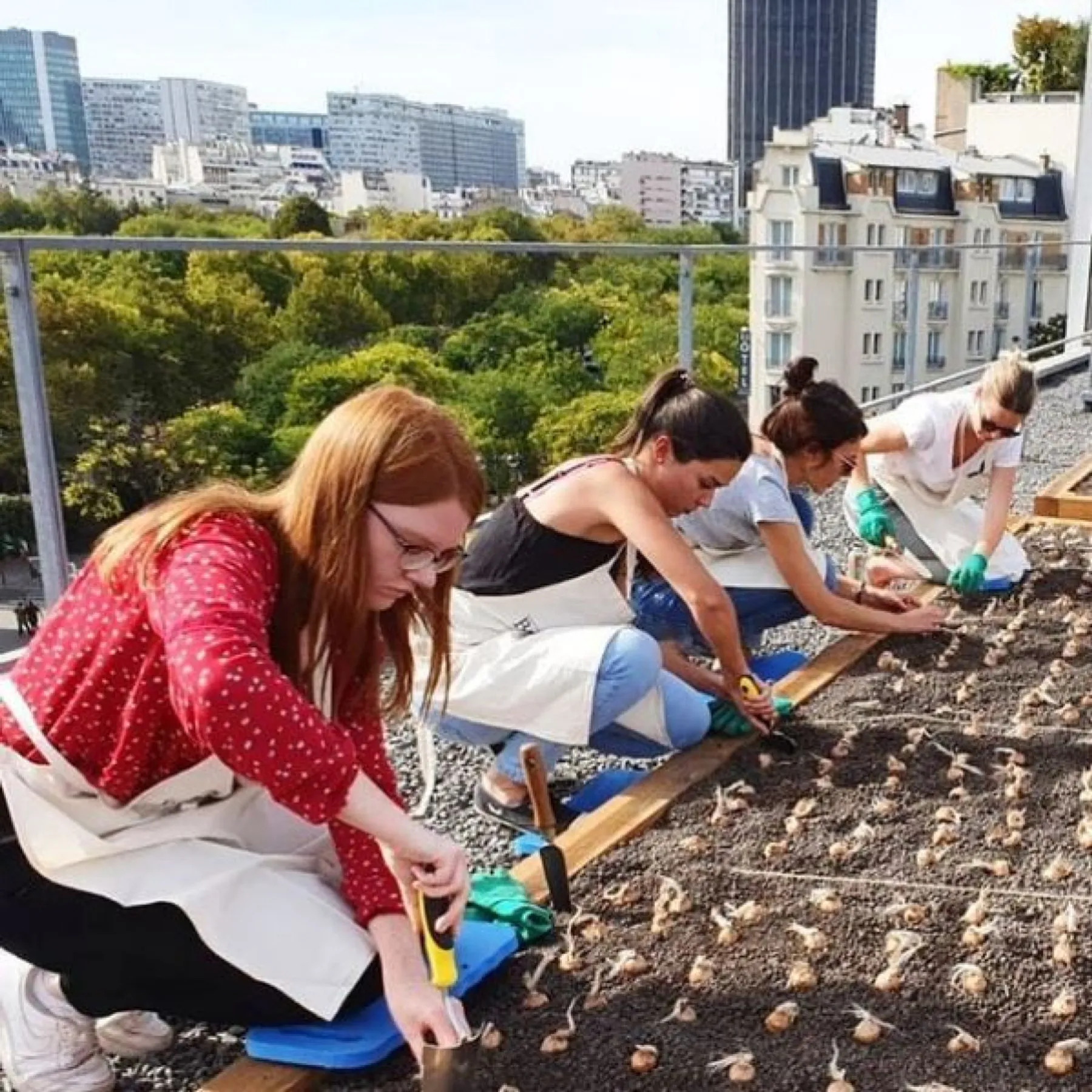 Visitez une safranière sur le toit de l'Opéra Bastille - Image n°3 - Wecandoo