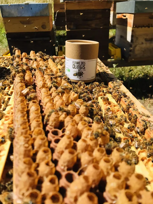 Wecandoo - Produisez de la gelée royale sur une journée