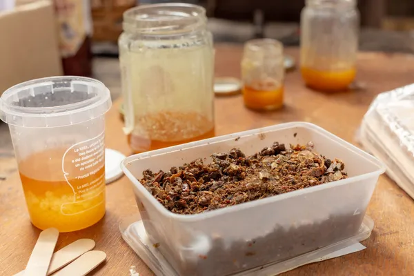 Wecandoo - Découvrez l'apiculture urbaine