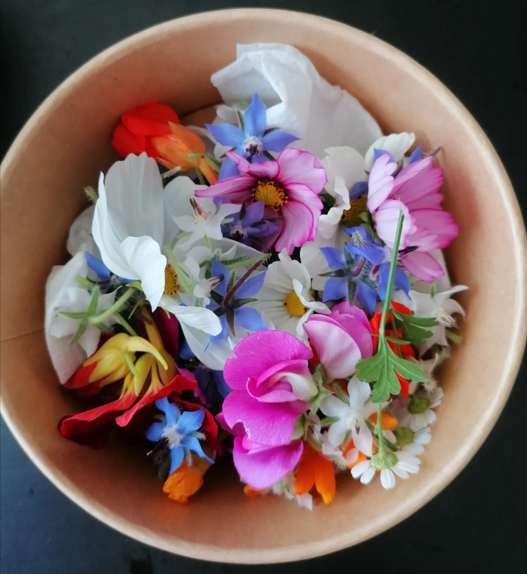 Pick and cook edible flowers - Afbeelding nr. 5 - Wecandoo