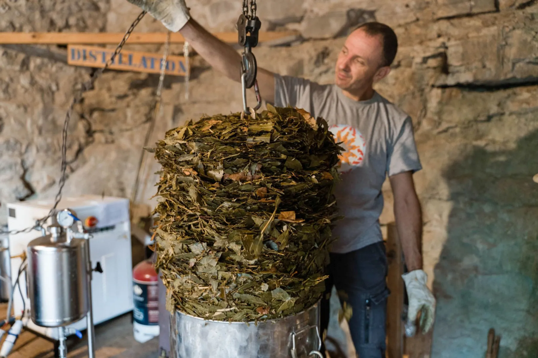 Découvrez la distillation de plantes - Image n°2 - Wecandoo