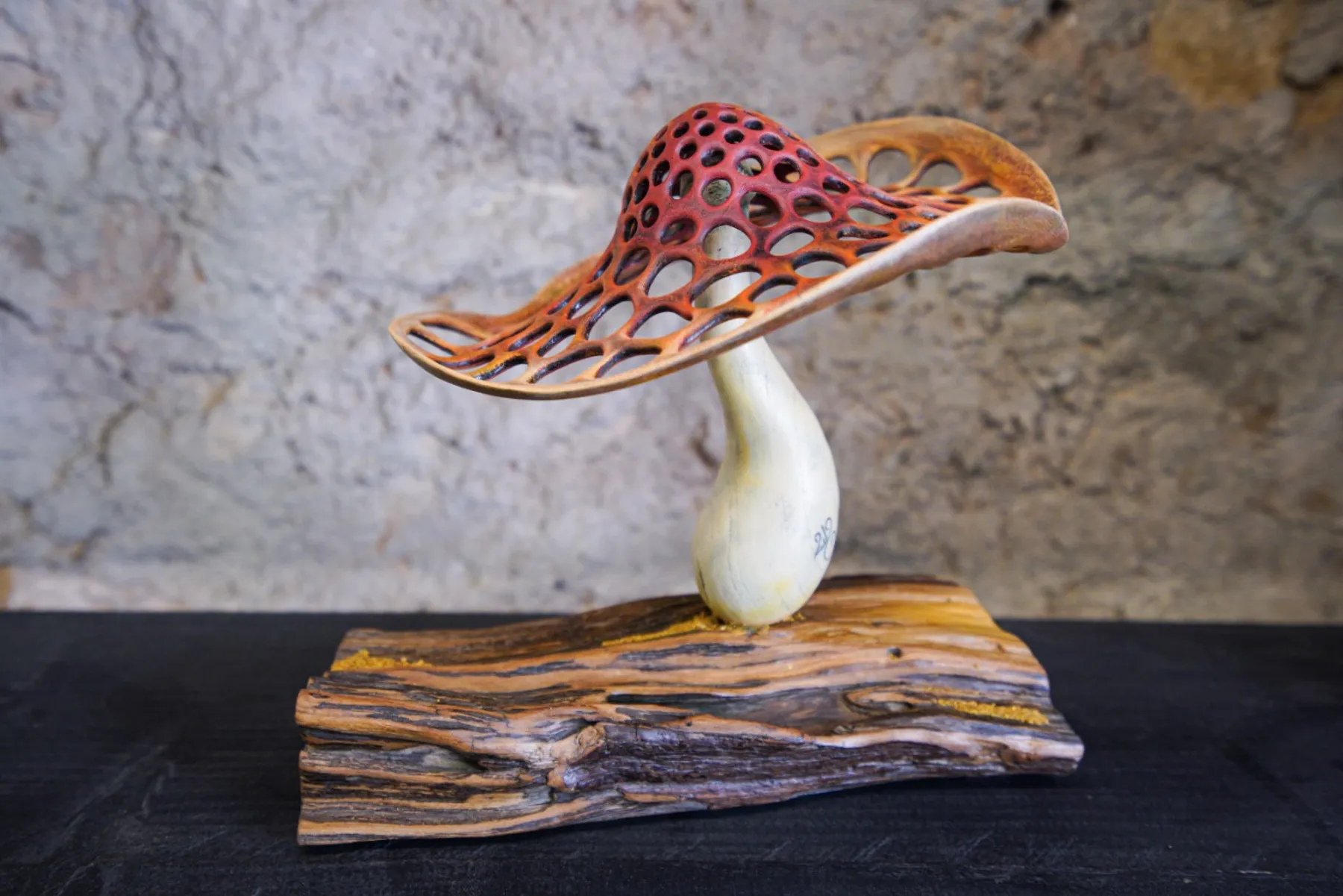 Ludovic-bourgeois - 83 - tourabois6.jpg - Wecandoo