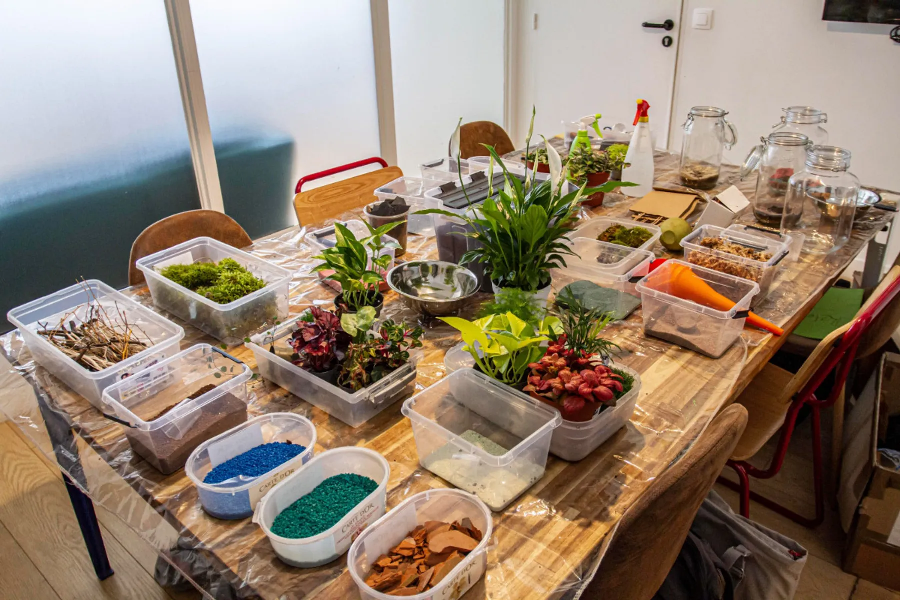 Composez votre petit terrarium - Afbeelding nr. 1 - Wecandoo