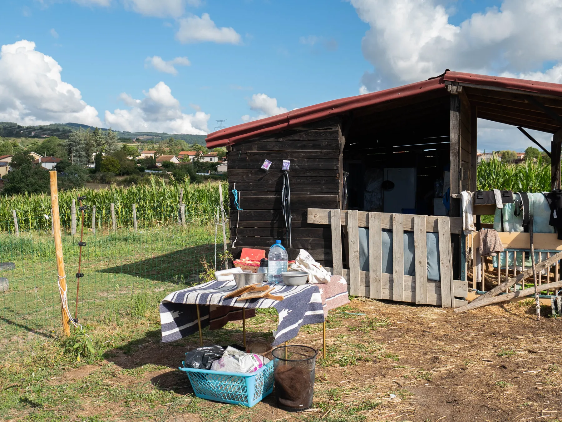 Découvrez un élevage de lamas et transformez la laine - Image n°1 - Wecandoo