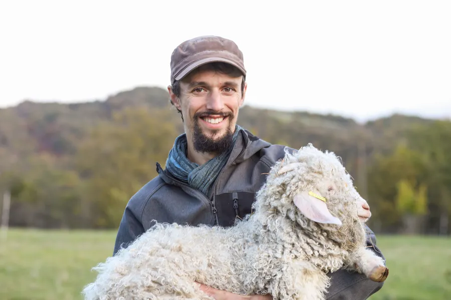 Samuel : Eleveurs de chèvres angora à Haute-Garonne