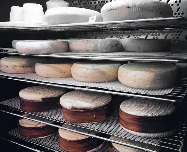 Fabriquez une tomme et de la ricotta - Image n°4 - Wecandoo