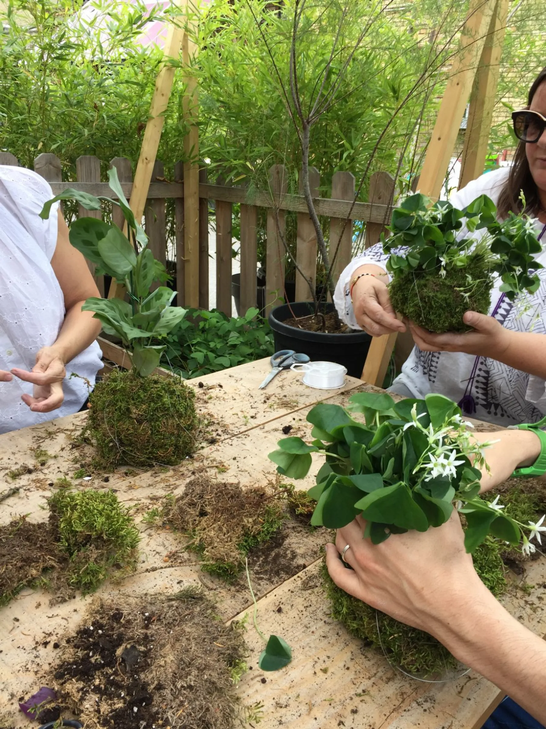Créez votre kokedama - Image n°4 - Wecandoo