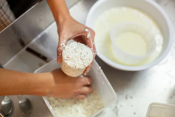 Wecandoo - Fabriquez votre feta artisanale !