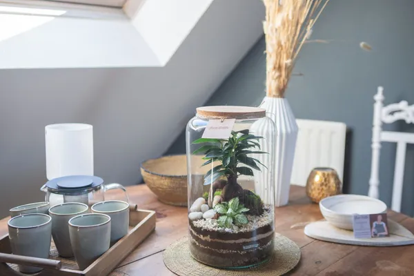 Créez et composez votre terrarium - Image n°1 - Wecandoo