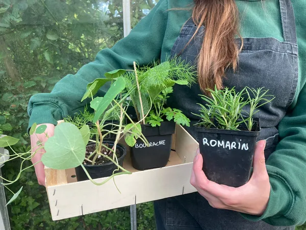 Wecandoo - Initiez-vous à l'agriculture urbaine