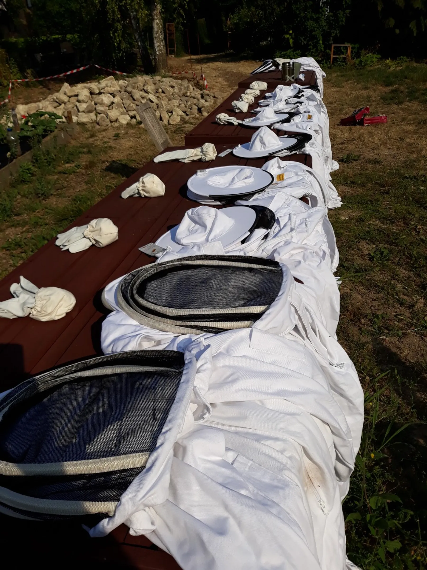 Learn about beekeeping - Image n°1 - Wecandoo