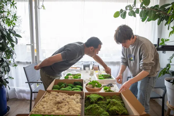 Réalisez votre jardin classique en plantes stabilisées - Image n°3 - Wecandoo