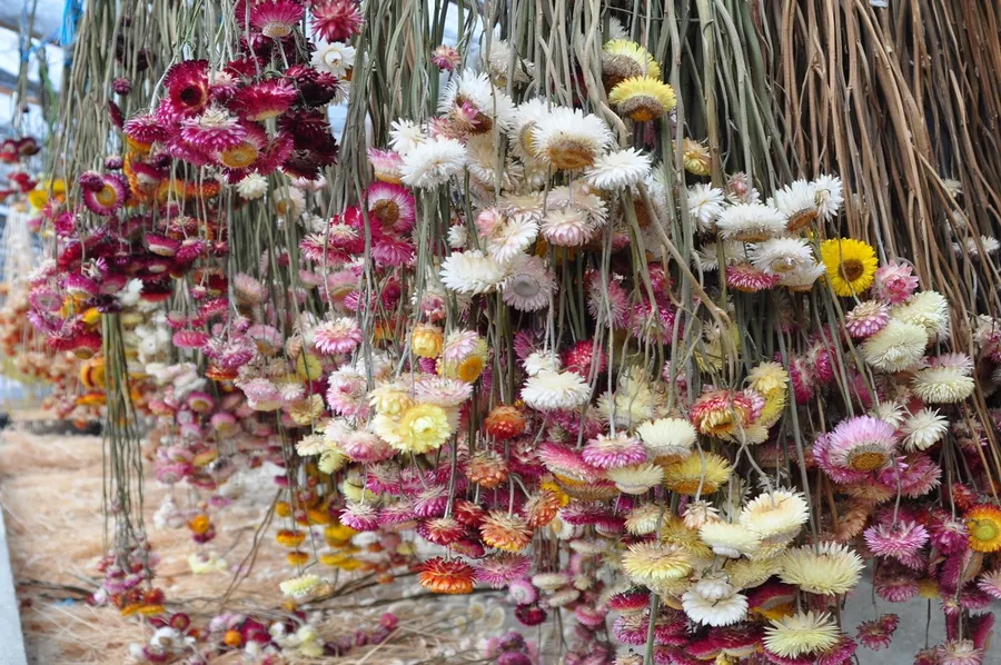 Réalisez votre création de fleurs séchées 100% locales - Image n°1 - Wecandoo