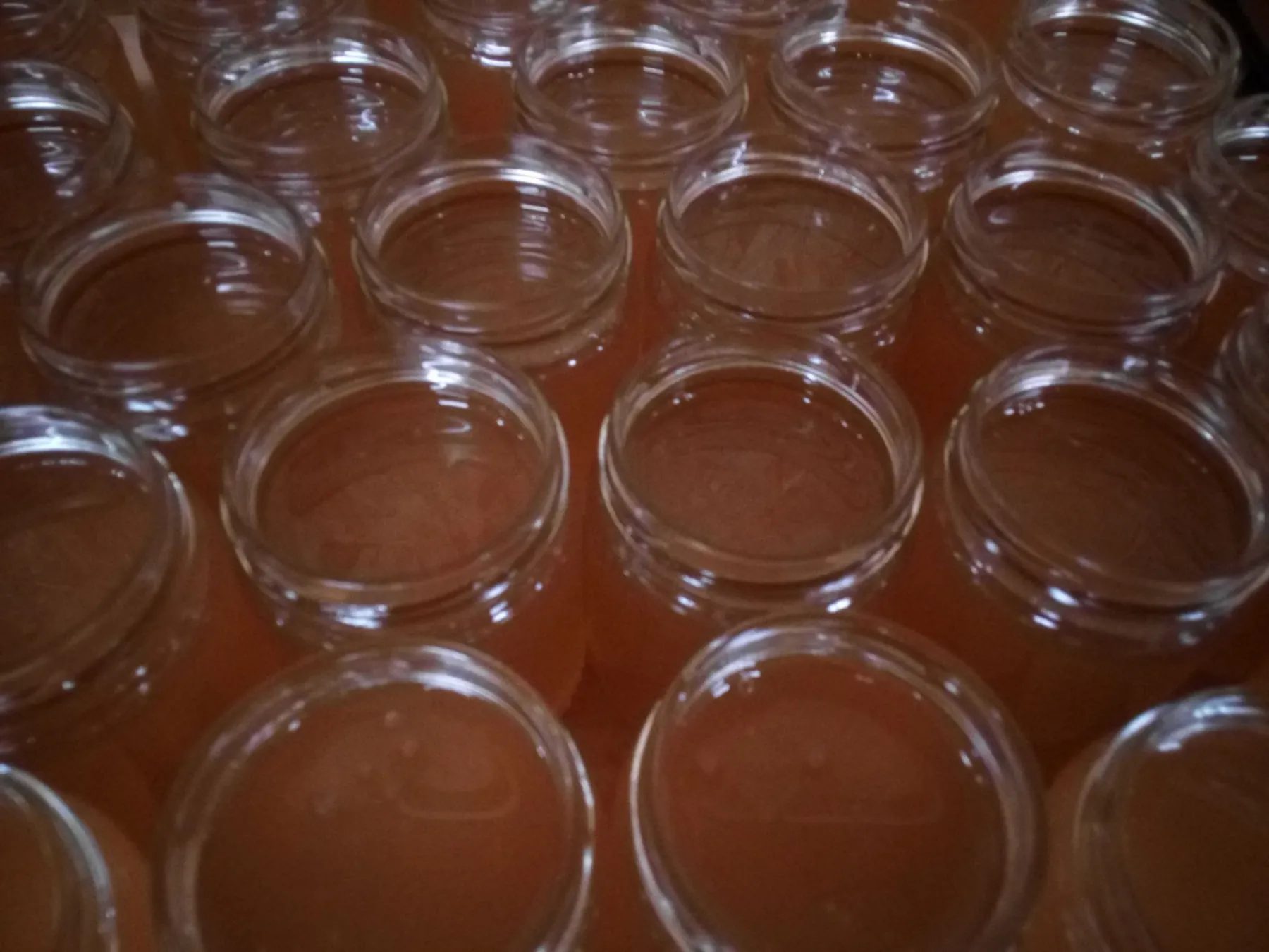 Initiez-vous à l'apiculture - Image n°4 - Wecandoo