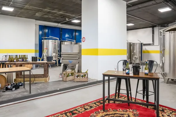 Dégustez un accord de 7 vins naturels et 5 fromages artisanaux - Image n°3 - Wecandoo