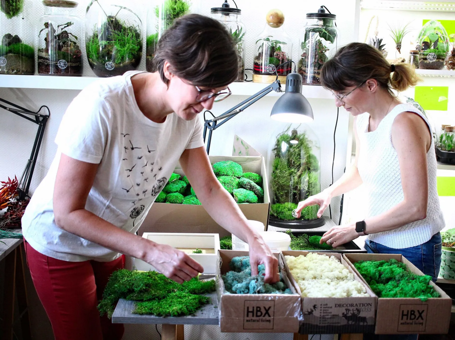 Réalisez votre cadre végétal - Image n°4 - Wecandoo