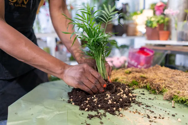 Composez votre kokédama - Image n°2 - Wecandoo