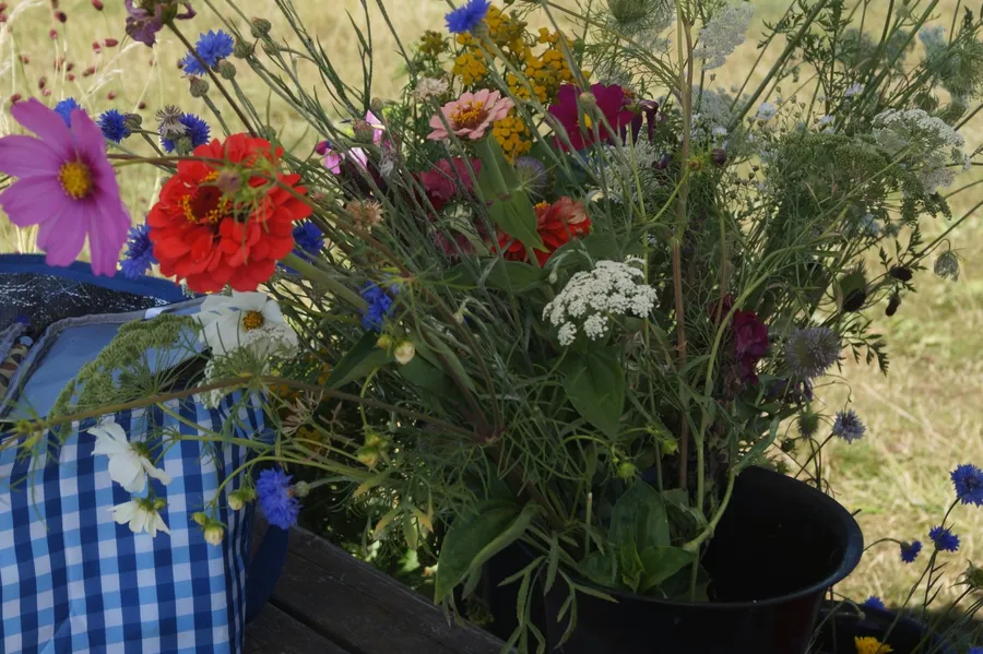 Compose your bouquet of fresh flowers - Afbeelding nr. 1 - Wecandoo