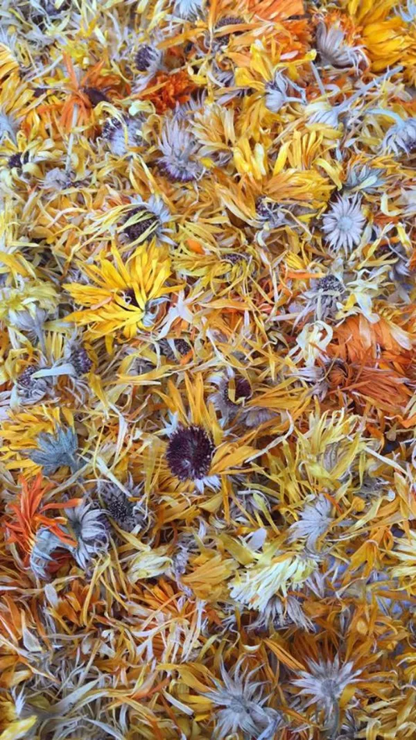 Créez votre savon 2 en 1 corps et cheveux - Image n°2 - Wecandoo