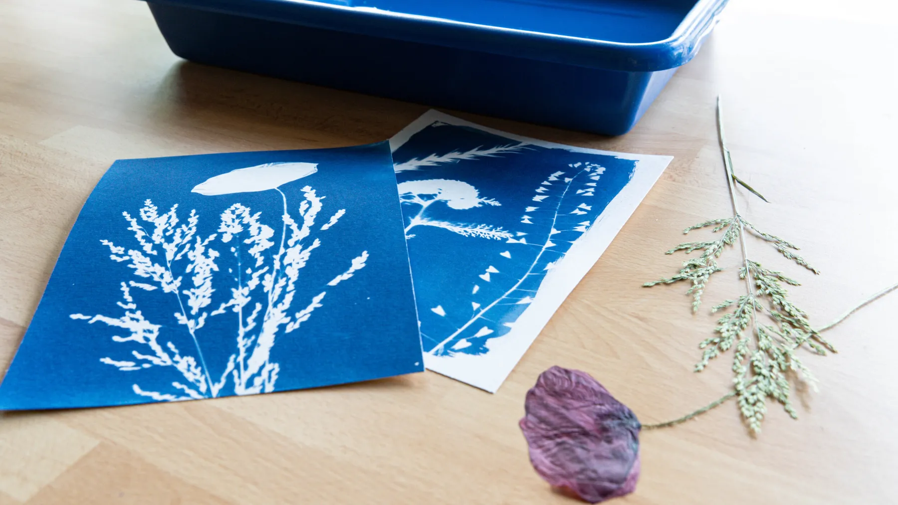Initiez-vous au cyanotype au sein d'un tiers lieu annécien - Image n°4 - Wecandoo
