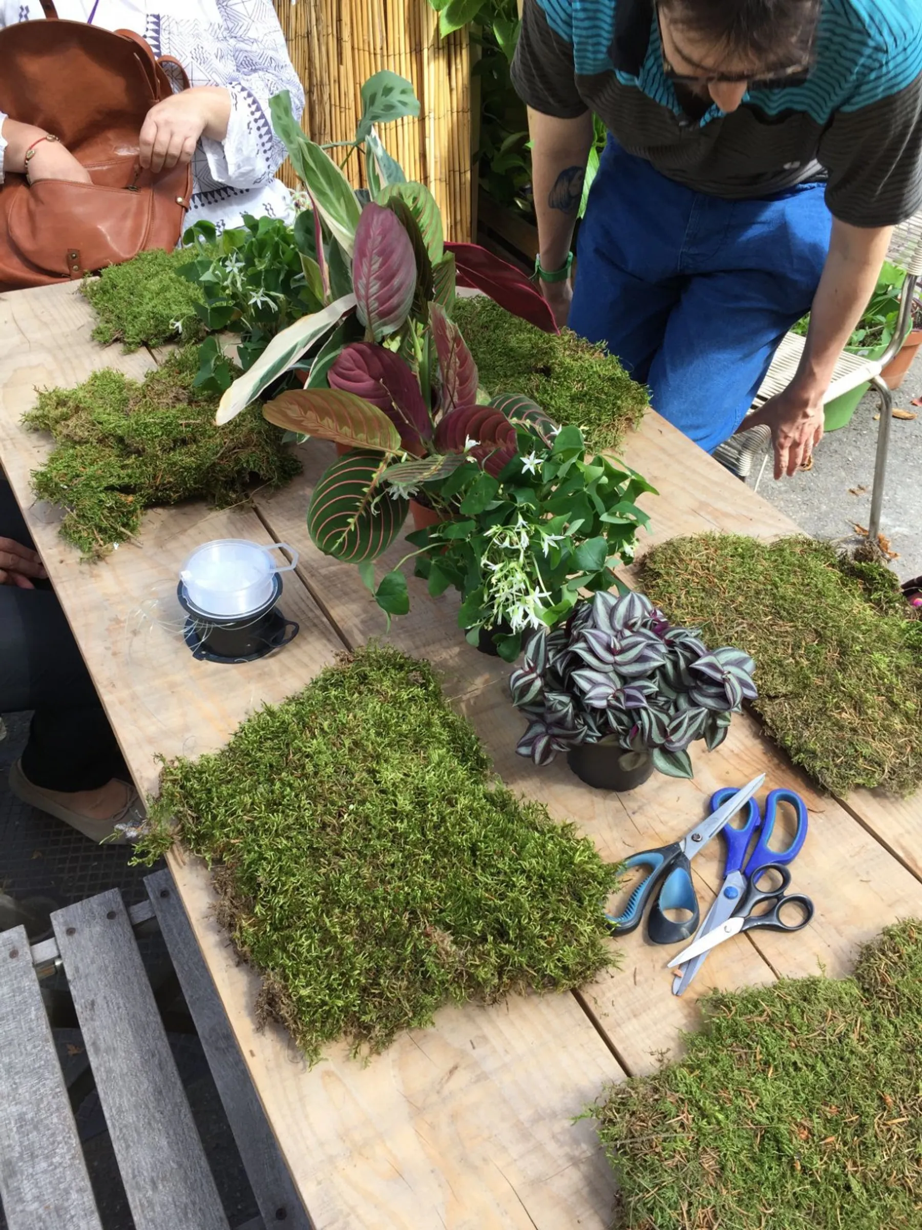 Créez votre kokedama - Image n°2 - Wecandoo