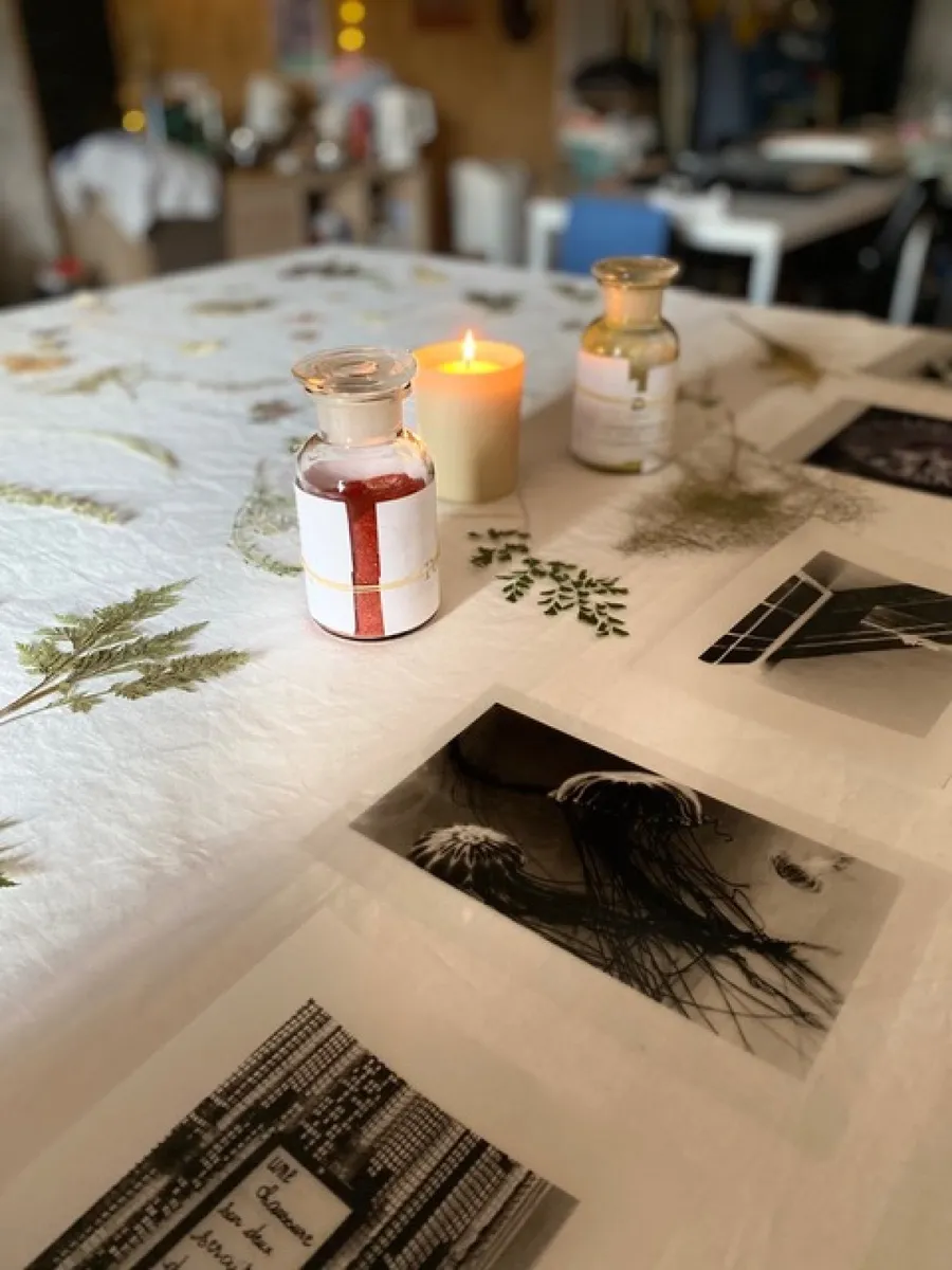 Make your own A4 posters in cyanotype using your own photos - Image n°1 - Wecandoo