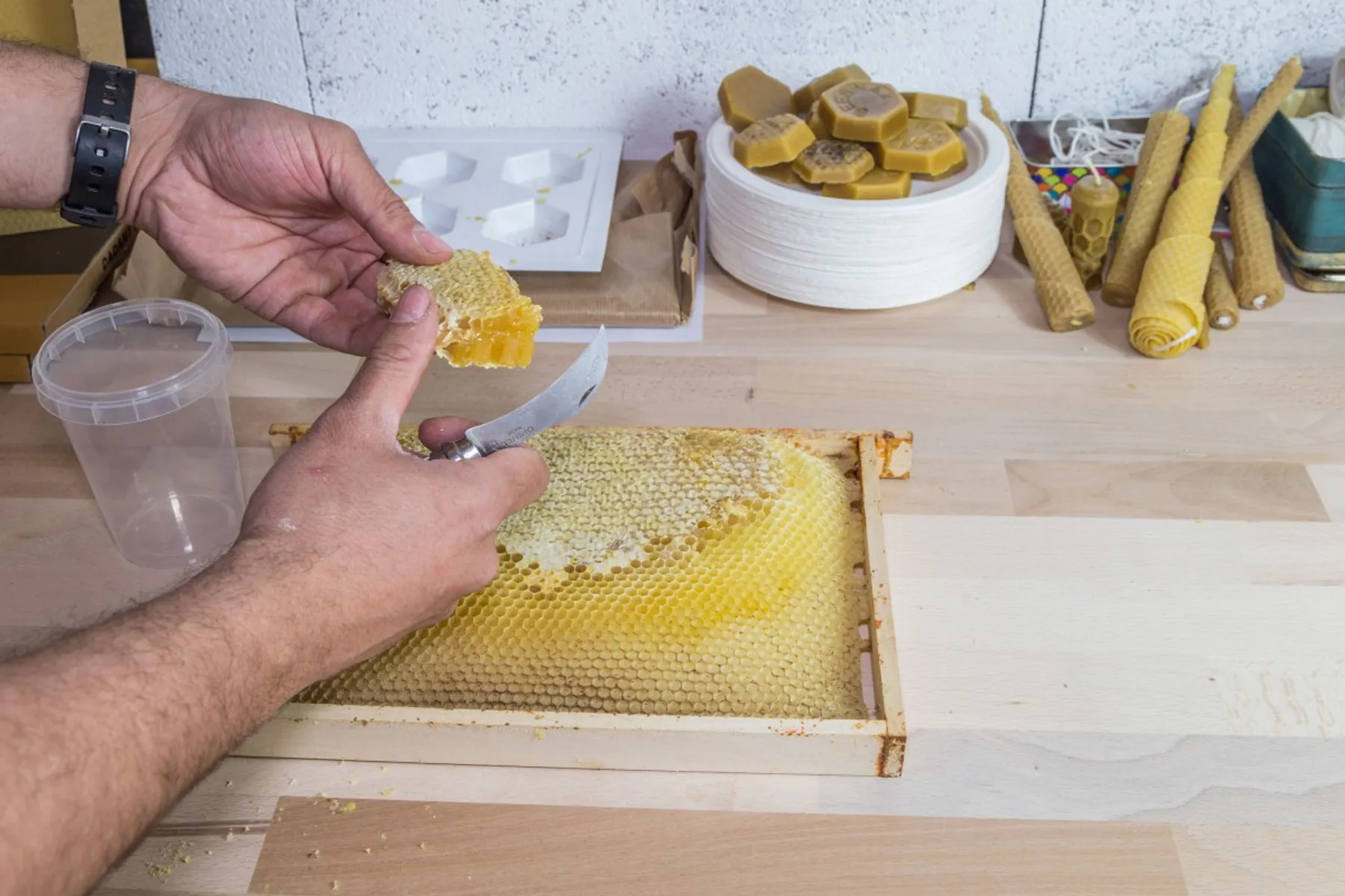 Plongez dans le monde de l'apiculture - Image n°2 - Wecandoo