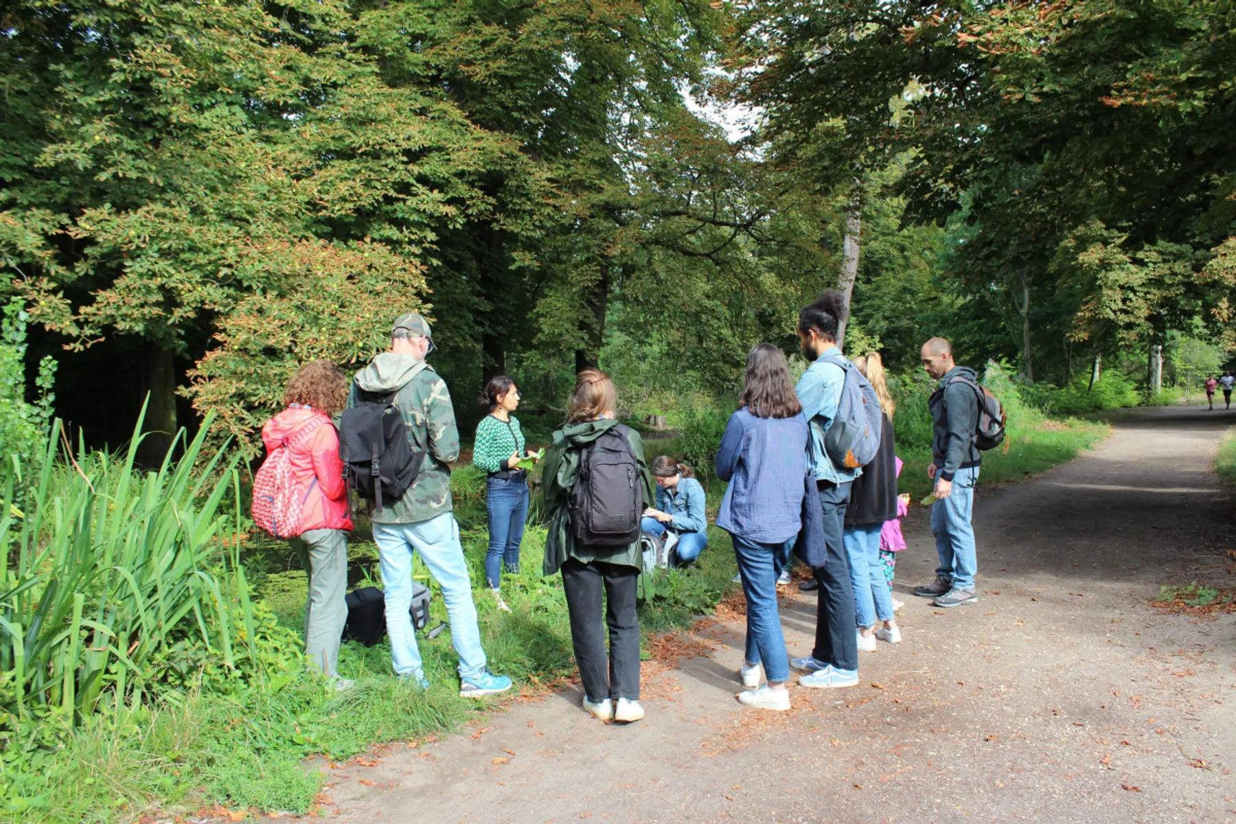 Découvrez et cuisinez les plantes sauvages - Image n°1 - Wecandoo