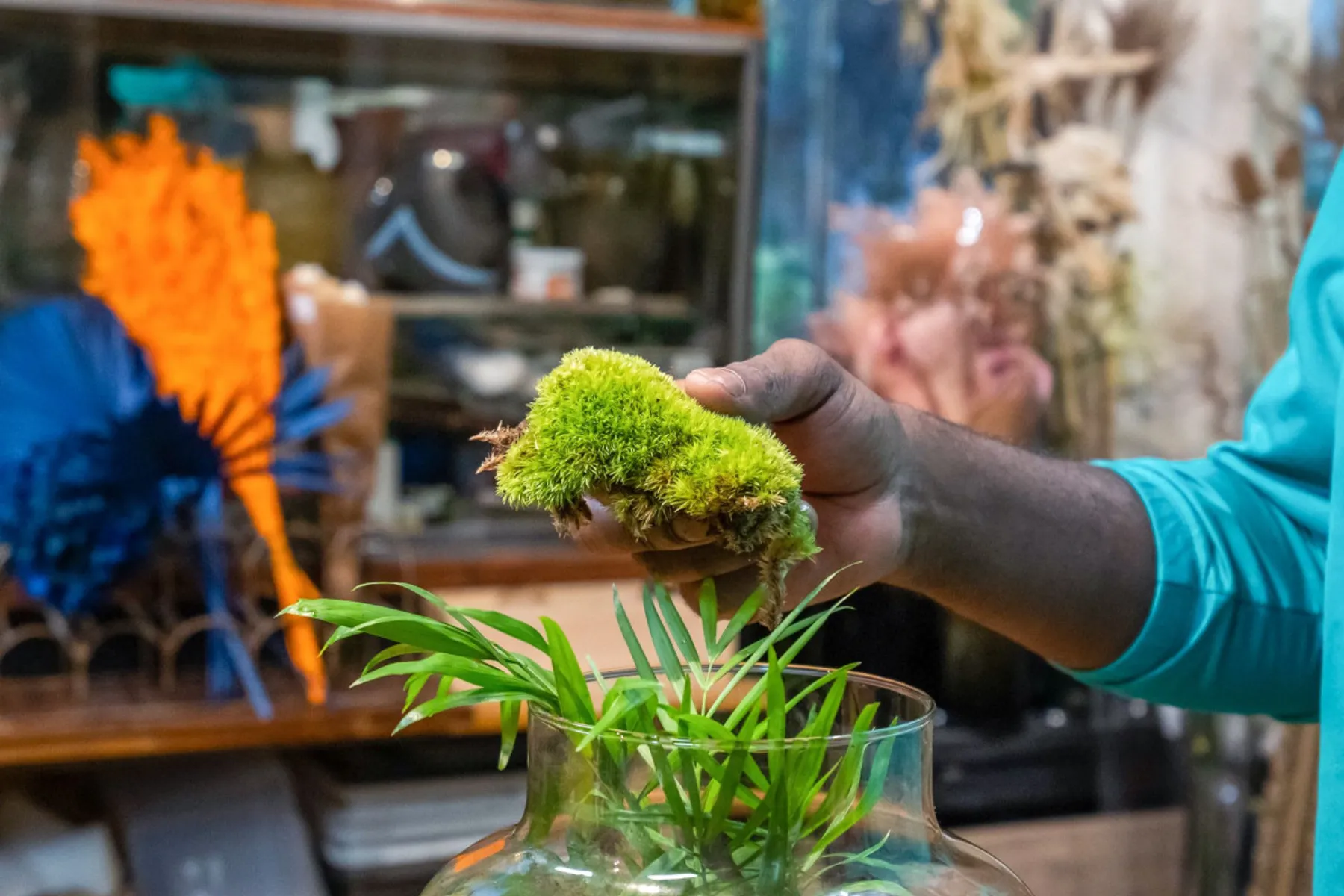 Créez votre terrarium - Image n°3 - Wecandoo